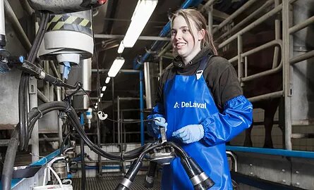 DeLaval Melksysteme Laufstall