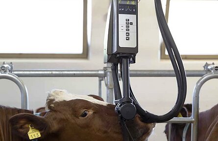 Melksysteme von DeLaval